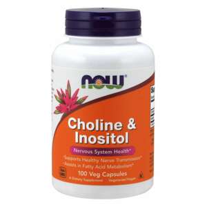 Now® Foods NOW Cholin & Inositol, 500 mg, 100 rostlinných kapslí Doplněk stravy