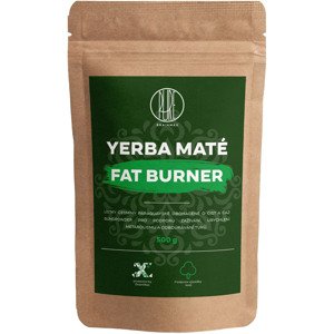 BrainMax Pure Yerba Maté, Fat Burner, 500 g Směs brazilské yerby maté obohacené o zelený čaj pro kontrolu hmotnosti a metabolismu tuků