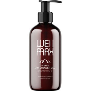WellMax Pánský sprchový gel 3v1, 250 ml Sprchový gel pro muže určený pro péči o tělo, vlasy i obličej s BIO bylinnými extrakty