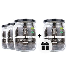 3+1 ZDARMA BrainMax Pure Kakaové boby v hořké čokoládě BIO, 285 g *CZ-BIO-001 certifikát