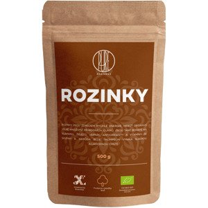 BrainMax Pure Rozinky Blue Thompson BIO, 500g *CZ-BIO-001 certifikát