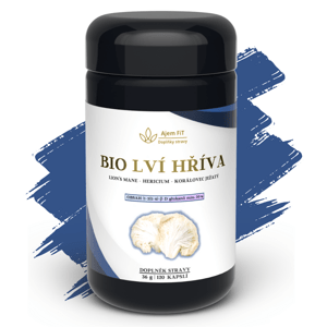 AjemFIT | 100% ČISTÝ BIO EXTRAKT LION'S MANE (Hericium) - 120 kapslí (36g) AJEM8