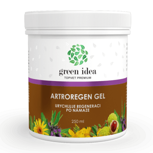 Green idea Artroregen masážní gel 250ml