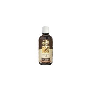 Green idea Ženšen tinktura kapky 50ml