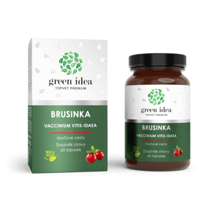 Green idea Brusinka obecná bylinný extrakt 60 tablet