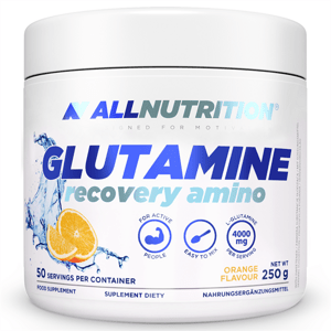 Glutamine Recovery Amino 250g