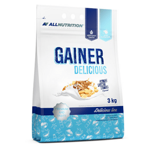 Gainer Delicious 3000g
