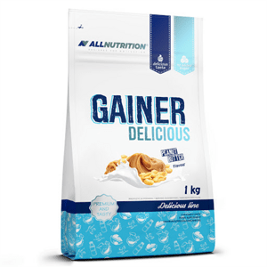 Gainer Delicious 1000g