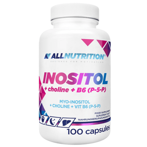 Inositol + Choline + B6 (P-5-p) 100 Kapslí
