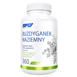 Kotvičník Zemn