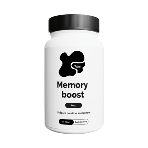 Memory Boost – 60 veganských kapslí | Ginkgo Biloba & Bacopa pro paměť a soustředění